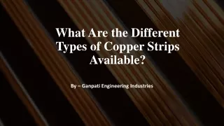 What Are the Different Types of Copper Strips Available?