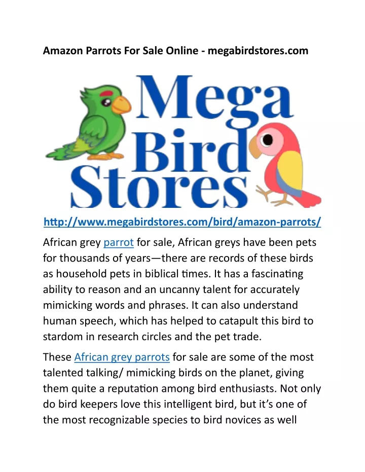 amazon parrots for sale online megabirdstores com