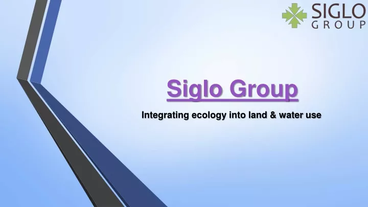 siglo group