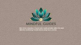 mindful meditation book