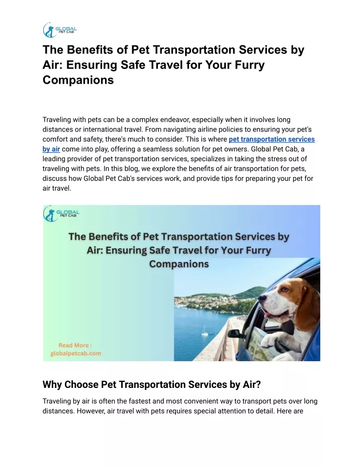 the benefits of pet transportation services