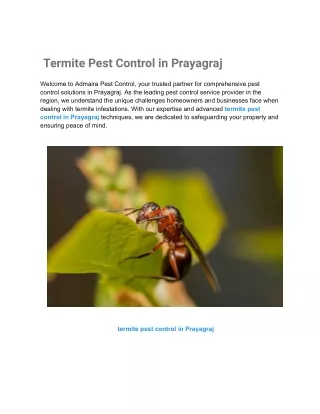 termite pest control in Prayagraj
