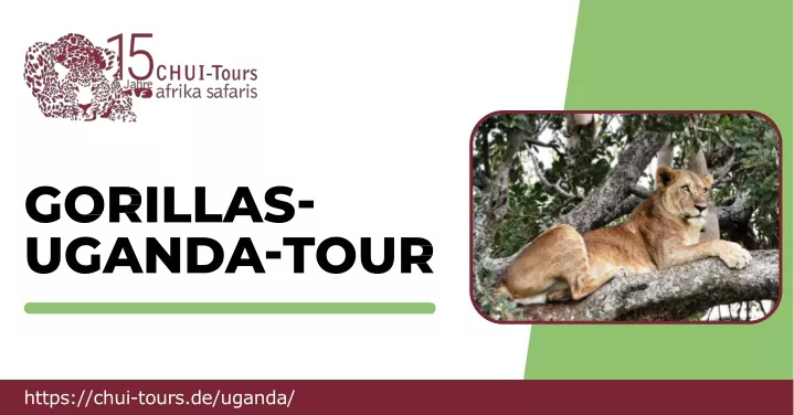 https chui tours de uganda