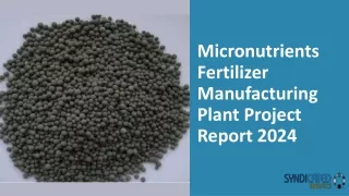 Micronutrients Fertilizer Manufacturing Plant Project Report 2024