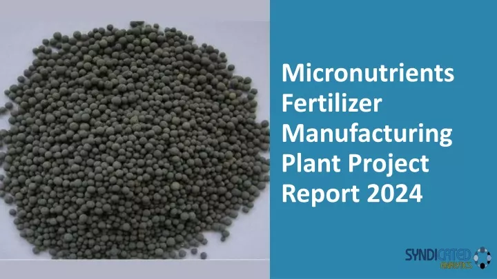micronutrients fertilizer manufacturing plant project report 2024