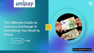 The Ultimate Guide to Currency Exchange in Everything You Need to Know