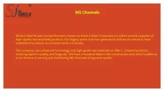 MS Channels