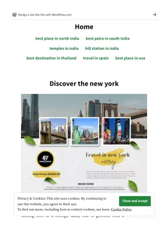 discover the new york