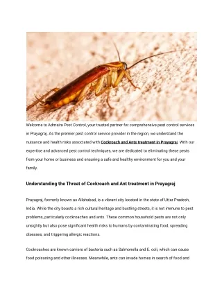 Cockroach and Ants treatment in Prayagraj