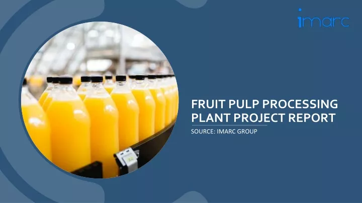 fruit pulp processing plant project report source