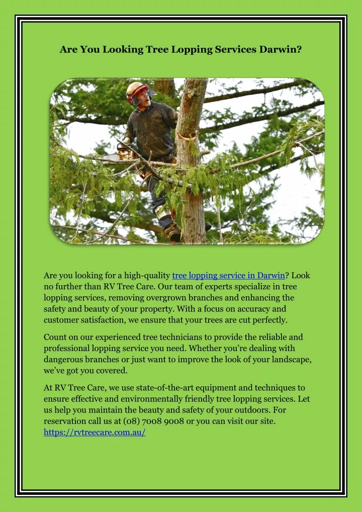 are you looking tree lopping services darwin