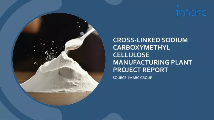 cross linked sodium carboxymethyl cellulose manufacturing plant project report