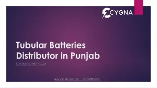Tubular Batteries Distributor in Punjab