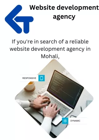 Website Development Agency