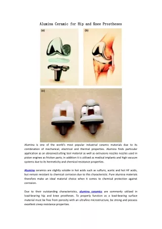 Alumina Ceramic for Hip and Knee Prostheses