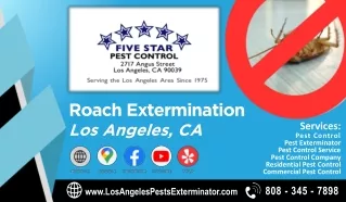 Roach Extermination Los Angeles, CA
