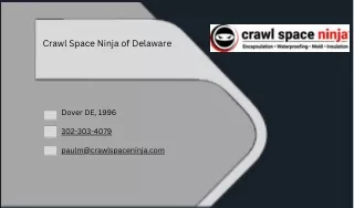 Crawl Space Ninja of Delaware