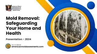 Mold Removal Safeguarding Your Home and Health