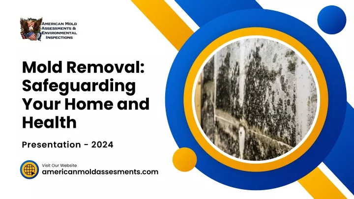 mold removal safeguarding your home and health