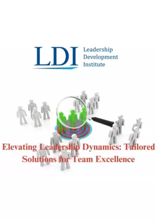 Elevating Leadership Dynamics Tailored Solutions for Team Excellence