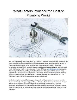 What Factors Influence the Cost of Plumbing Work