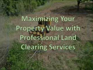 Maximizing Your Property Value with Professional Land Clearing