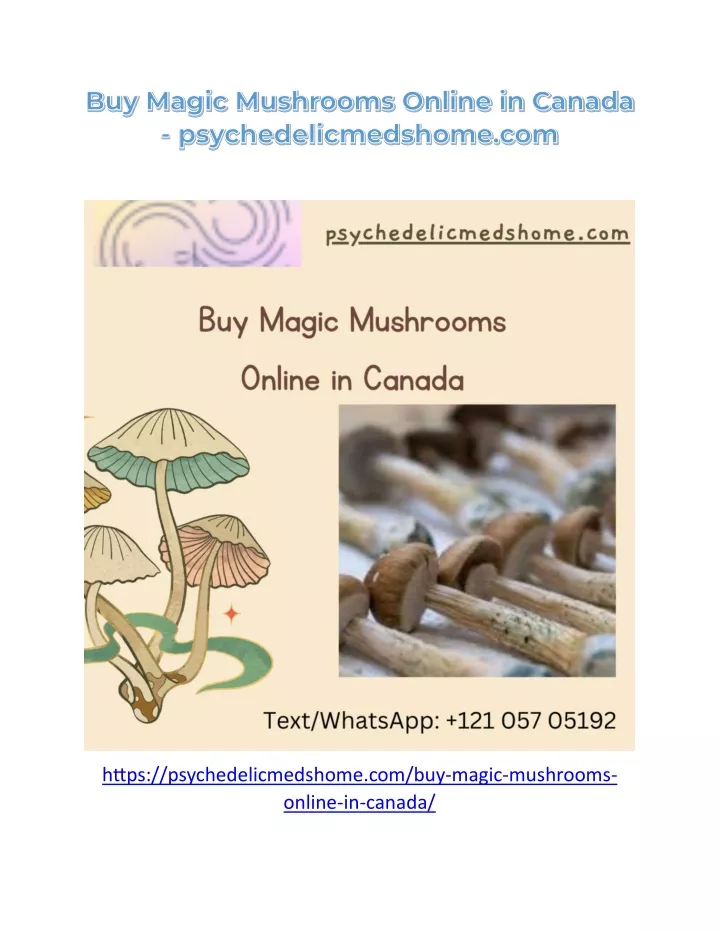 https psychedelicmedshome com buy magic mushrooms