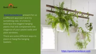 HANGING PLANTS TO ENHANCE THE BEAUTY OF YOUR HOME