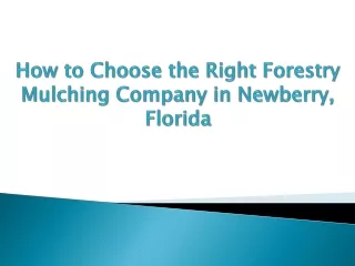 How to Choose the Right Forestry Mulching Company in Newberry, Florida