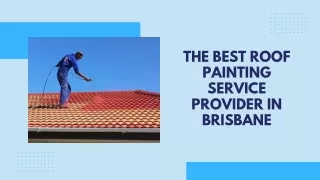 The Best Roof Painting Service Provider in Brisbane