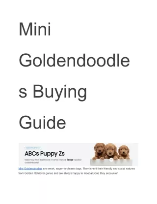 Mini Goldendoodles Buying Guide - ABCs Puppy Zs.