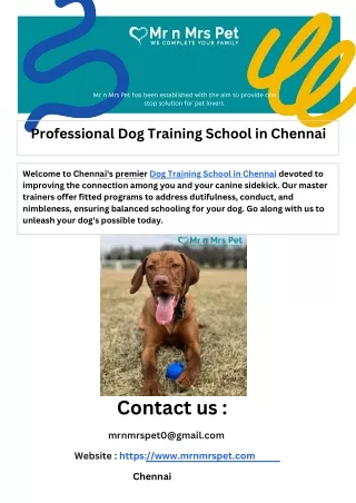Professional Dog Training School in Chennai