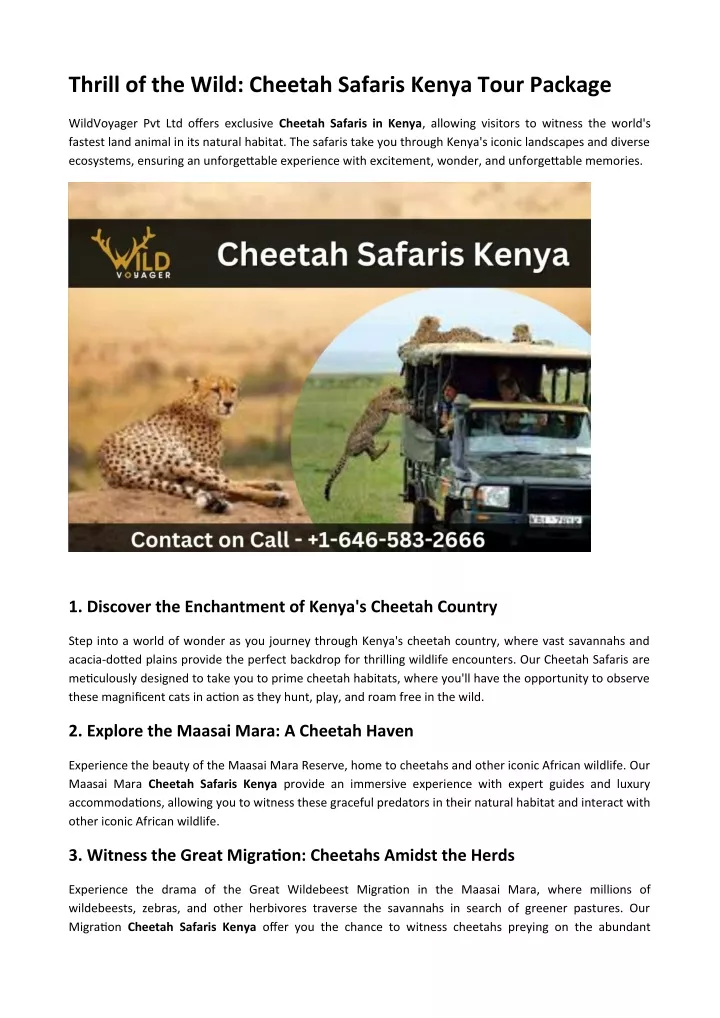 thrill of the wild cheetah safaris kenya tour