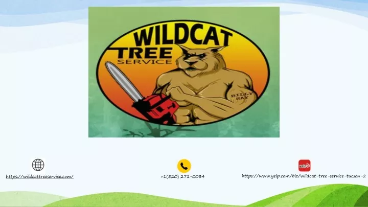https www yelp com biz wildcat tree service