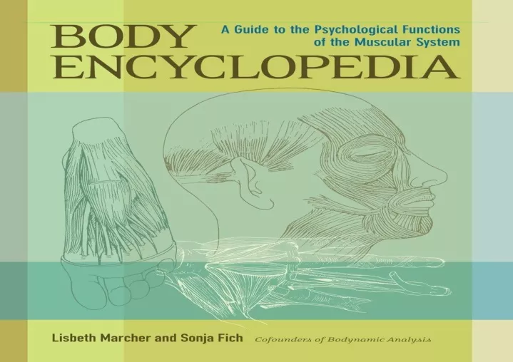 PPT - ⭐ DOWNLOAD/PDF ⚡ Body Encyclopedia: A Guide to the Psychological ...