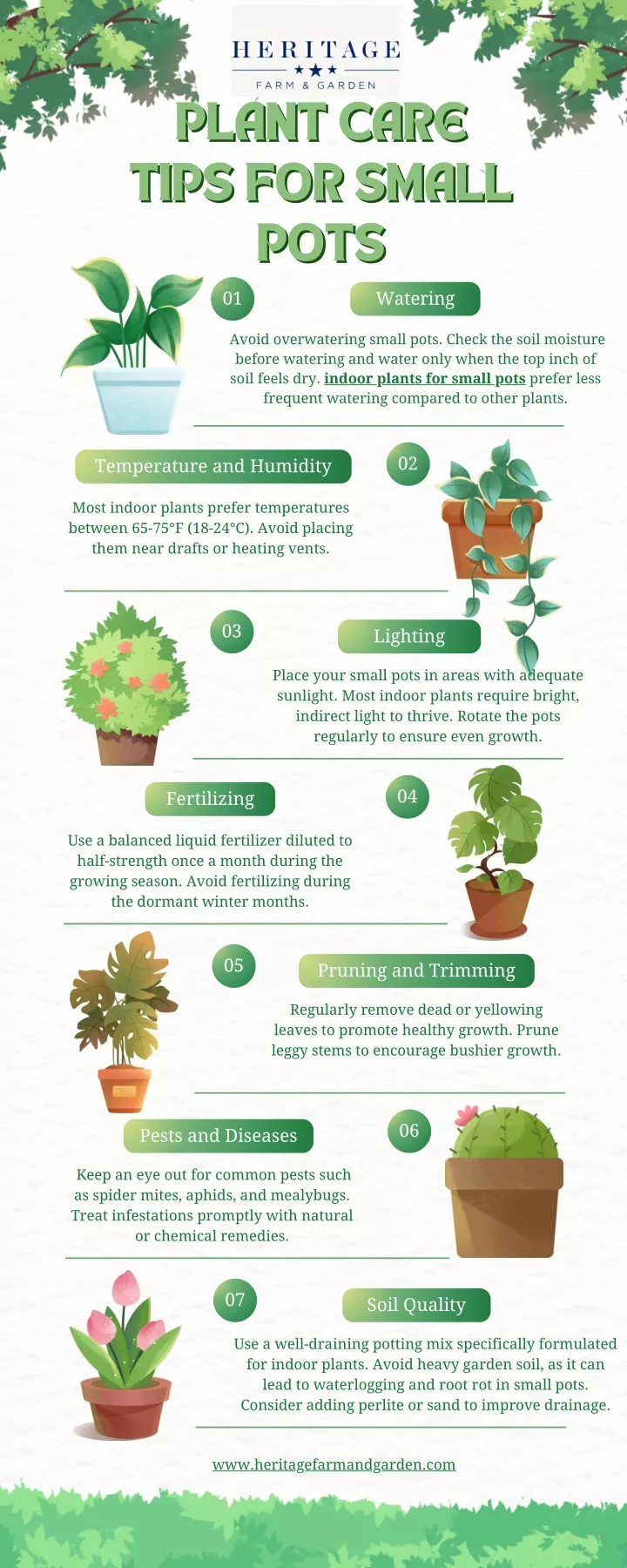 plant care plant care tips for small tips