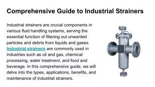 Comprehensive Guide to Industrial Strainers