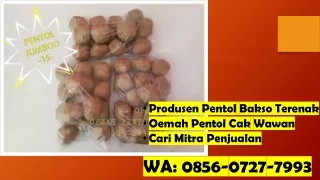 Buka Kemitraan! WA 0856-0727-7993 Pabrik Pentol Bakso Daging Sapi Gresik