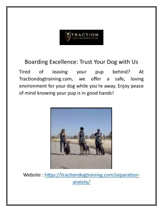 Boarding Excellence: Trust Your Dog with Us