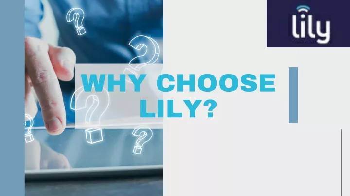 why choose lily