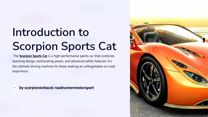 introduction to scorpion sports cat the scorpion