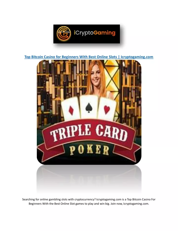 top bitcoin casino for beginners with best online