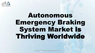 Autonomous Emergency Braking System