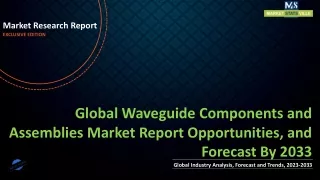 market research report exclusive edition