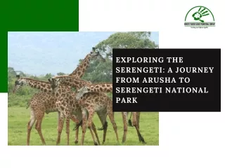 Exploring the Serengeti A Journey from Arusha to Serengeti National Park