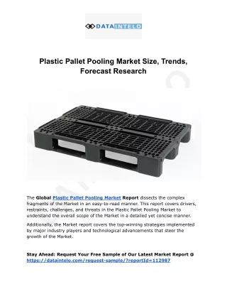 Plastic Pallet Pooling Market I Global Outlook And Forecast 2032