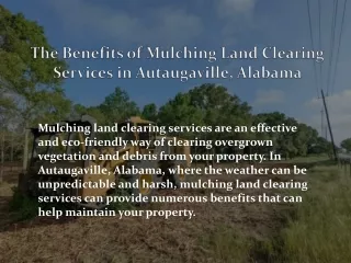 The Benefits of Mulching Land Clearing Services in Autaugaville, Alabama