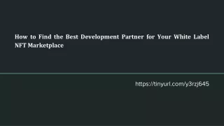 How to Find the Best Development Partner for Your White Label NFT Marketplace