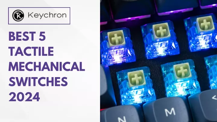 best 5 tactile mechanical switches 2024