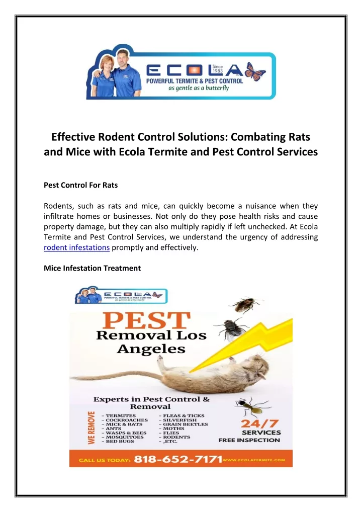 effective rodent control solutions combating rats